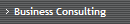 Business Consulting