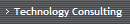 Technology Consulting